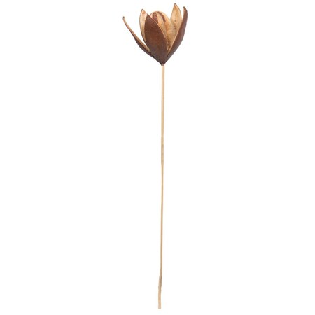 Dare2Decor 20 in. Lily on Stem Artificial Flowers, Natural - 50 Stems per Pack DA3256803